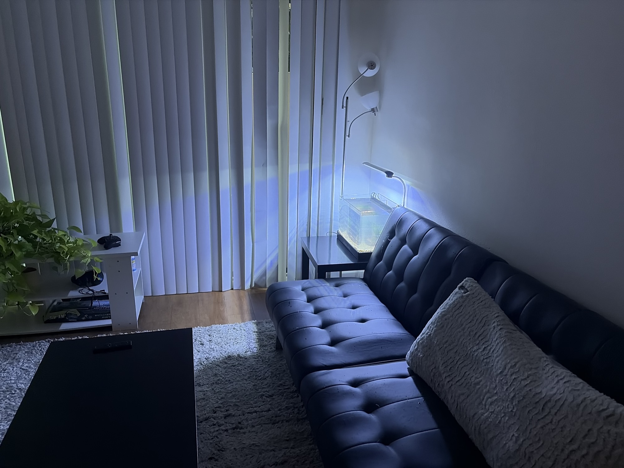 Small Ocean in the Corner - Oke's Musings: Poetry, People and Places